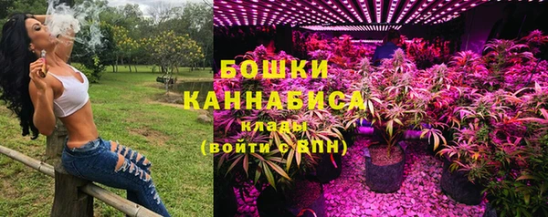 прущая мука Каменка