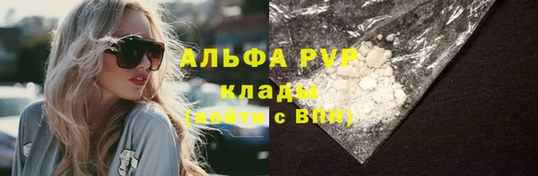 стаф Каменногорск
